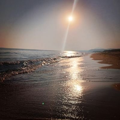 leandra73565132's profile picture. 