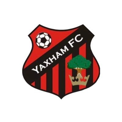 Yaxham FC est. circa 1920 | @c_snleague Division 1 & 3 | @NCFAVetsLeague Division 2 (West) | @NorfolkCYFL U15s & U14s | Wildcats #UpTheYak ⚽️