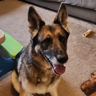 mralicki152's profile picture. Happily Married Christian Father. Political Comments = All Opinion. Christian comment = just joining in. DIY=Me. Michiganders, Conservatives, and DIY join me.