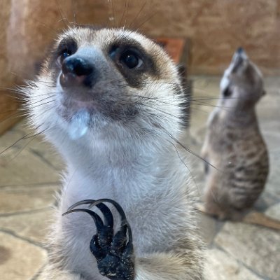 MT_KT_OL's profile picture. きょーたくんよりの箱推し💛💜/東京/
2025.05～おにラブ🔰/ゆっくり活動中🐌・・・/
40↑だけど呼びタメ大歓迎🤗/
無言いいね♡フォロー歓迎&こちらからもすみません🙏/
お友達になってくれたら嬉しいです/
サブ垢→ @MT_KT_OL_sab