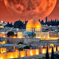 Nurcin Turgutt (@nurcinturgutt) 's Twitter Profile Photo