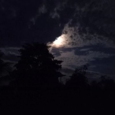 Eldredge145462's profile picture. Be simple