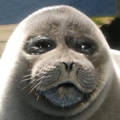 butterybento's profile picture. 24 | farming aura and hype moments