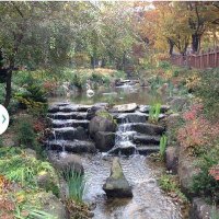 وليد محمد (@wleeidmohammed) Twitter profile photo