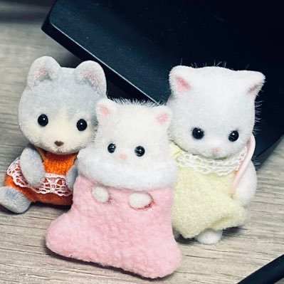 shichi＠たまにいるさんのプロフィール画像