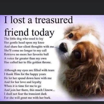 Wife of retired USMC veteran, mother of three beautiful children and two Cavalier King Charles.