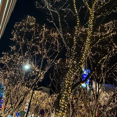 EO2TvHdOQjCbZci's profile picture. FGO が 好きです みんな FGO を しよう  モンスト もしよう