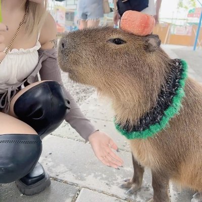 BenjaminsenAdam's profile picture. 少聽壞女人的話 聽我的