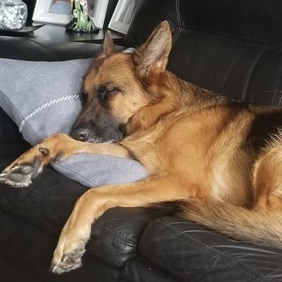 YouGotT25656772's profile picture. Old enough to know better....Freedom is NOT Free......never lose common sense..question everything.. Canadian born..pls no DMs