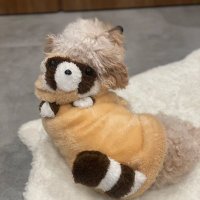 なつめ (@4x55a) 's Twitter Profile