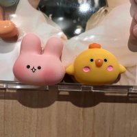 あいぼんとろーりaibon🐰🐥⸒⸒ (@a_t_p_p_k) 's Twitter Profile