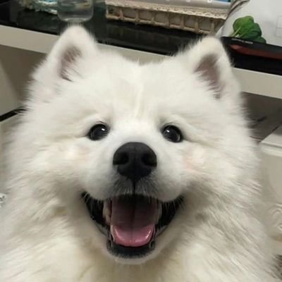 05.さんのプロフィール画像