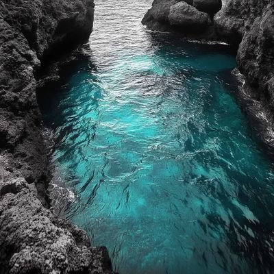 takumi199906033's profile picture. شعار المرحلة: ماذنبنا وقد صادف ربيع أعمارنا خَريف العالم؟