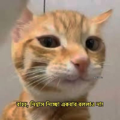 IsratJahan7932's profile picture. God Bless Me 🥰
