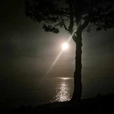 Lotfi_b128's profile picture. Freedom is what allows you to do whatever you want. Liberty is what protects the rest of us from people like you