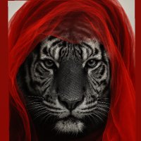 Red.. (@jooh_zii) 's Twitter Profile