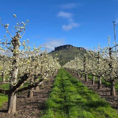 PapaCampbell68's profile picture. God, Family, and Country! There is no God more powerful, a family greater, or a country as blessed and wonderful as the United States of America.