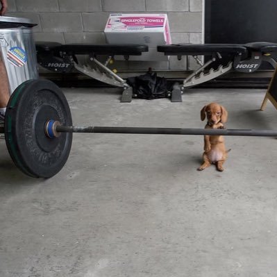 alemascandon's profile picture. 