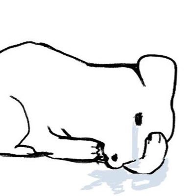 oyabonguh's profile picture. 