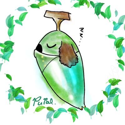 ちむちむ様 黄チムチム (@kichimutimu) / X