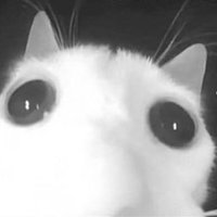 nemu (@iarnaco) 's Twitter Profile