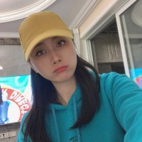 Hidden Armor (@hollis44751310) 's Twitter Profile
