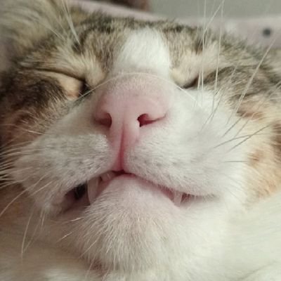 Ahnaf_ARaFin's profile picture. if u start somewhere u end somewhere if u don't start somewhere u end nowhere