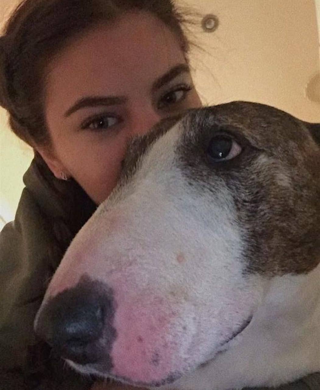 Iewouru1934's profile picture. Rational investing, patient waiting, successful investors never panic. — John Taylor    https://t.co/uRZ3hX8IqT