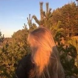 Ikiarvuin0041's profile picture. 