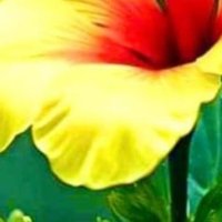M. Kumar (@maheshk01101872) 's Twitter Profile