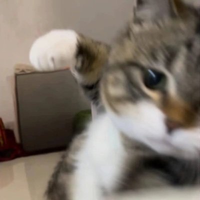 ELさんのプロフィール画像