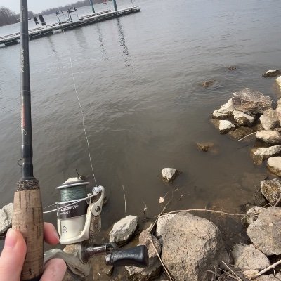 Randomstuf69058's profile picture. 