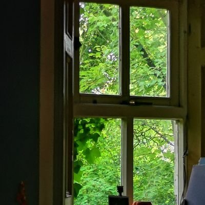 EileenD34220197's profile picture. Irish woman.