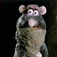 JimmyZimm (@pearld05036317) 's Twitter Profile