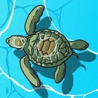 T_CTO (@turtle_cto) 's Twitter Profile