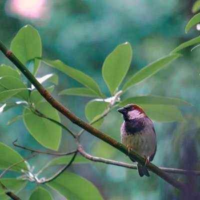 KatherineNcontr's profile picture. Mining & Investing $BTC since 2015 | Trader | C.C @SeedifyFund | Repping @Hustlerslabs I @KorProtocol @aidappcom I @BloFin_Official Partner | Community Builder