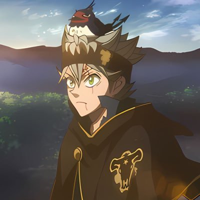 WondaMike Profile