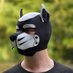 Snoopy (@snoopy_the_pup) Twitter profile photo Snoopy (@snoopy_the_pup) Twitter profile photo