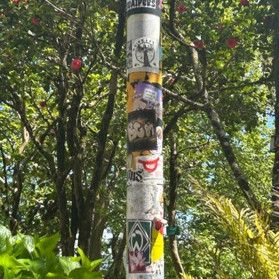 sp1ngthunder's profile picture. alt