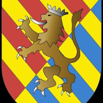 S9Biemv's profile picture. 