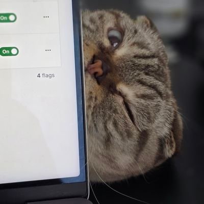 alperenqaeng's profile picture. QA Engineer