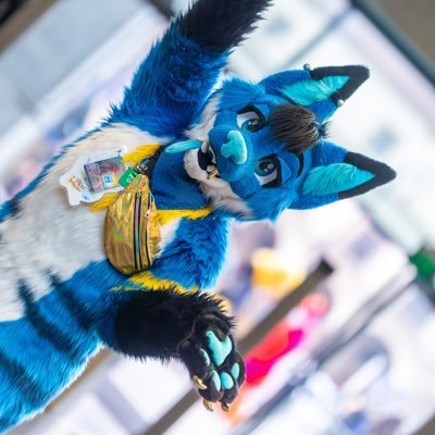Heyo! Just your average yeen always lost in the woods or somewhere where the sun shines. Fursuit by @deleon_fursuits