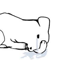 나초 (@nachoeatnacho) 's Twitter Profile Photo 나초 (@nachoeatnacho) 's Twitter Profile Photo
