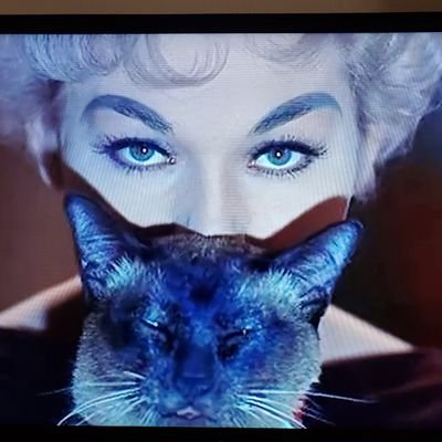 Agavequeen5's profile picture. The DEI, Socialism radical Equitable talking points are dead.
Teach your children how to read, math, work hard, be productive. Golden years.