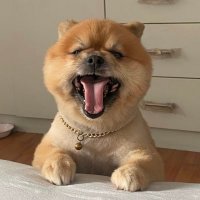 แซ่ (@wisfyf) 's Twitter Profile Photo แซ่ (@wisfyf) 's Twitter Profile Photo