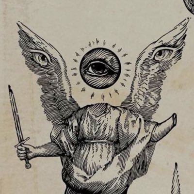 HNacionalist's profile picture. Hereje del Nacionalsocialismo. Soldado de Milei.