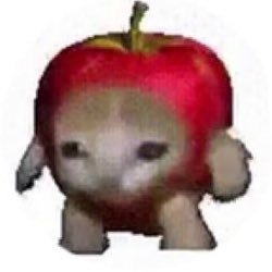 ぱんむさんのプロフィール画像