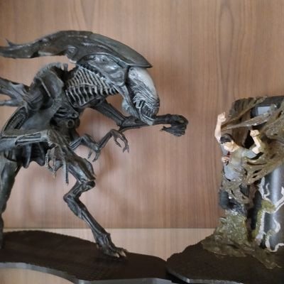 ThomasN28394870's profile picture. 