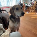 Aj melo - @ajaj_anana63918 - Twitter