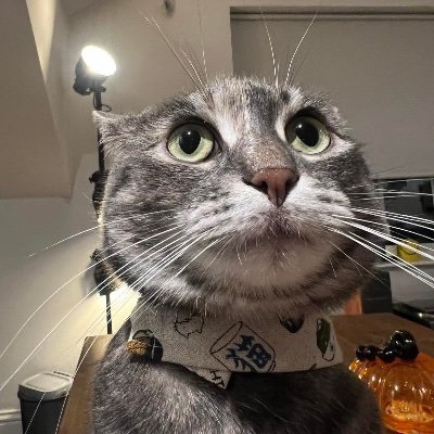 conorhtafc's profile picture. 